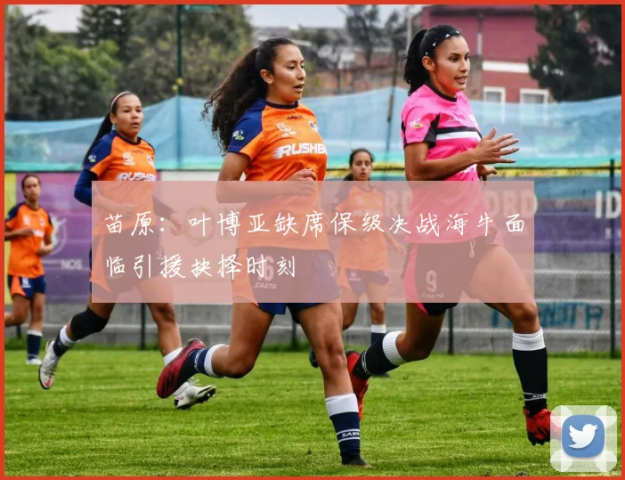 苗原：叶博亚缺席保级决战海牛面临引援抉择时刻